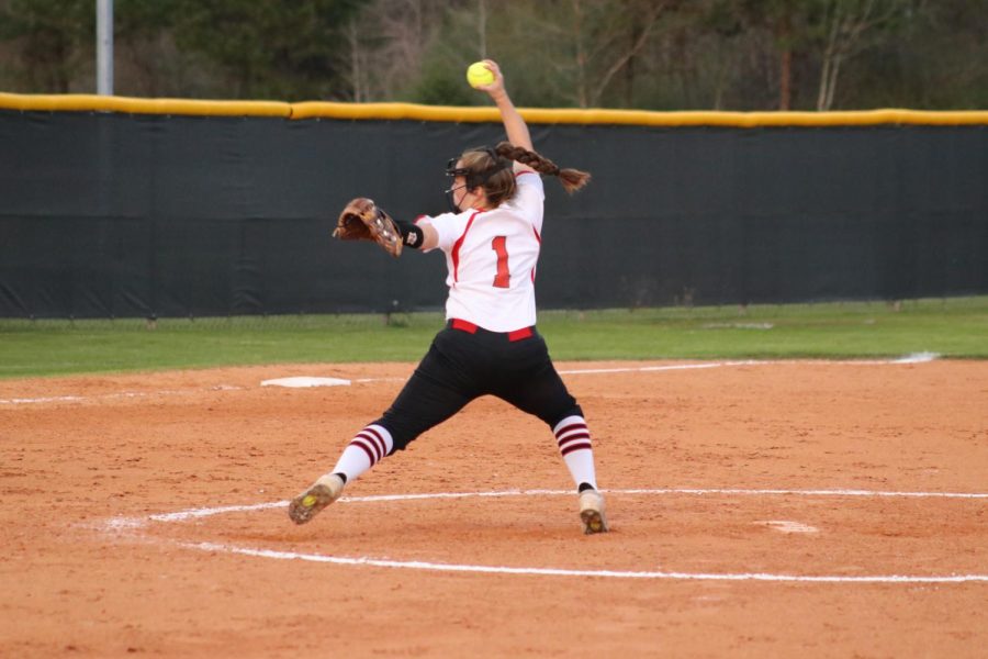 Softball ends season 10-17, looking forward with young team
