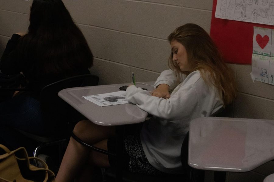 Taking notes on the brain