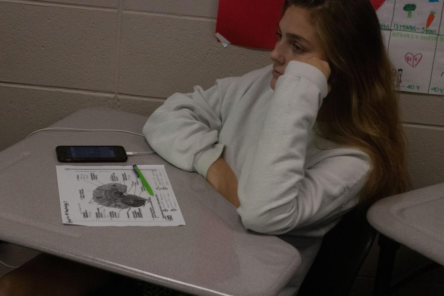 taking notes on the brain