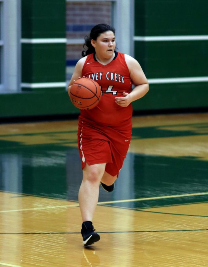 Freshman Mackenzie Harra (9) brings the ball down the court against Livingston.