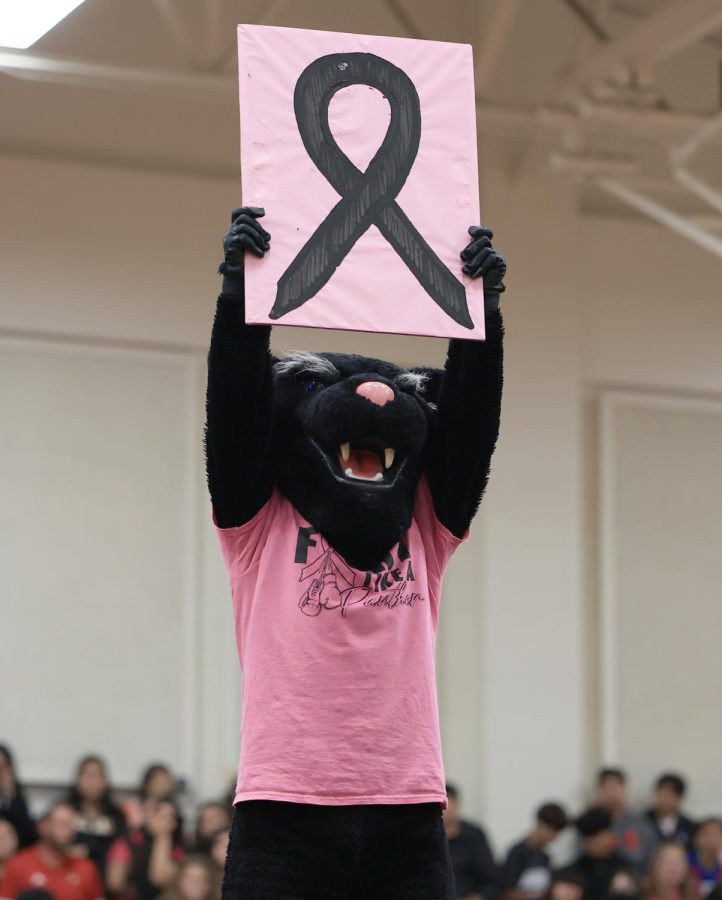 Mascot, Petey the panther, holds up a breast cancer symbol painted by the Caney Creek cheer team during the pink out pep rally on October 14, 2022. 