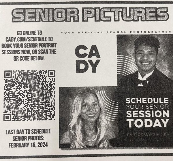 Flyer of senior picture information.