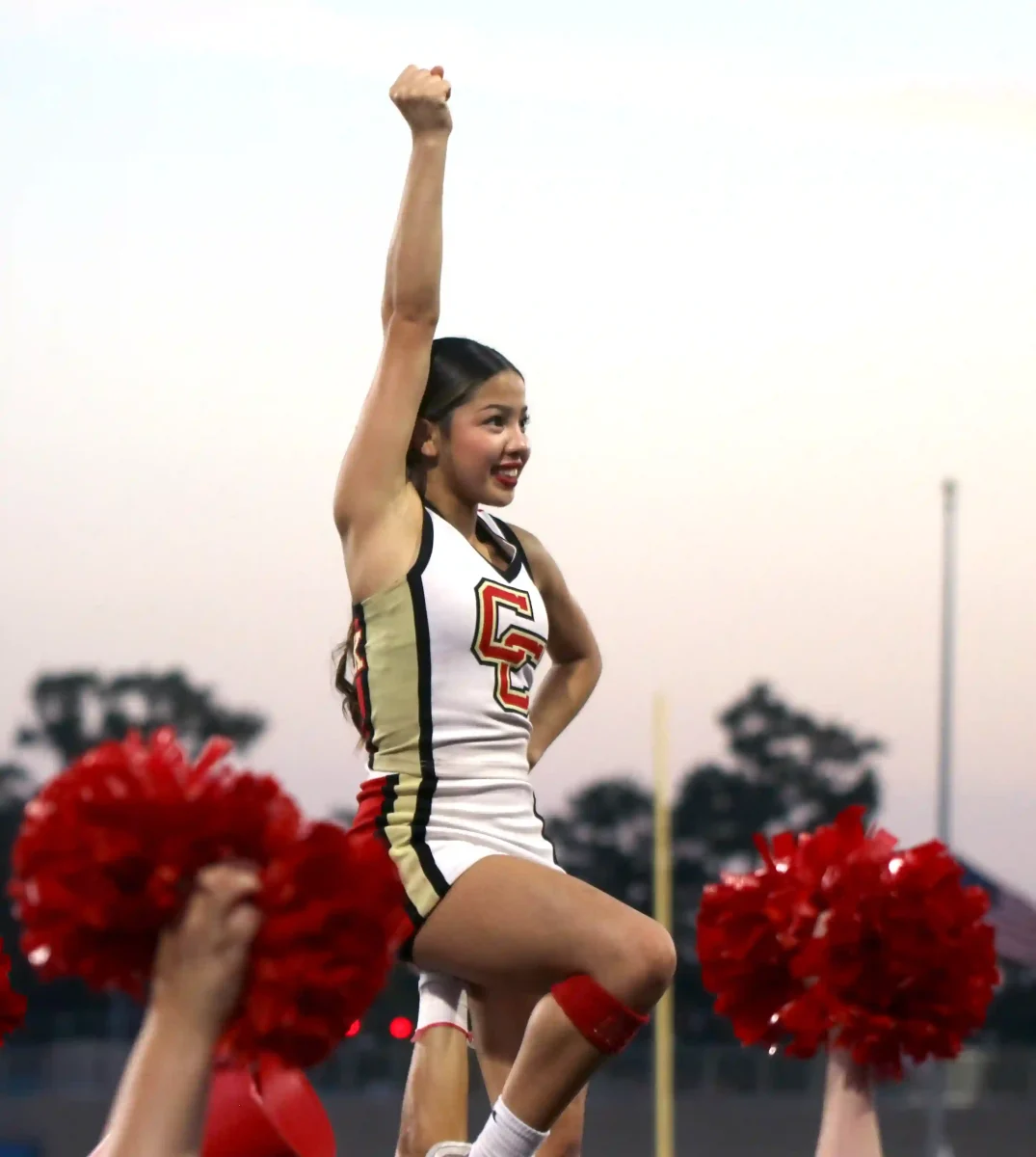 Meet the panther: Heidi Sanchez